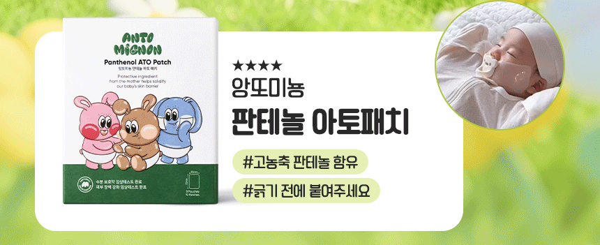 상단배너2