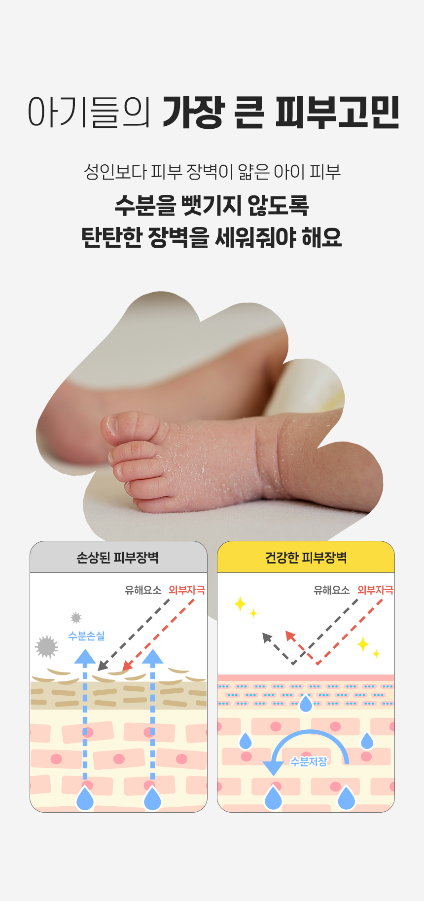 앙또 베리어엠 종합