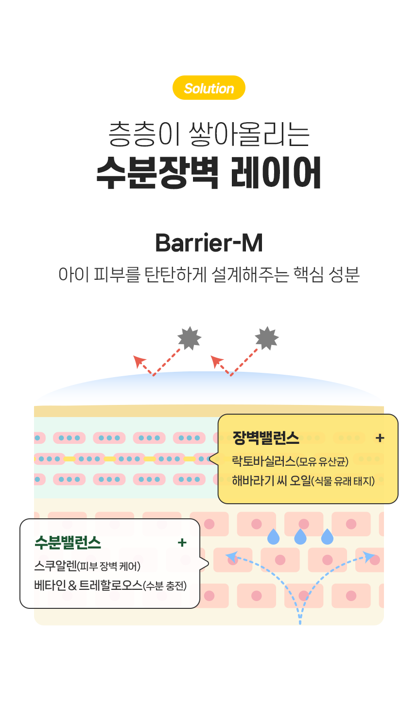 앙또 베리어엠 종합