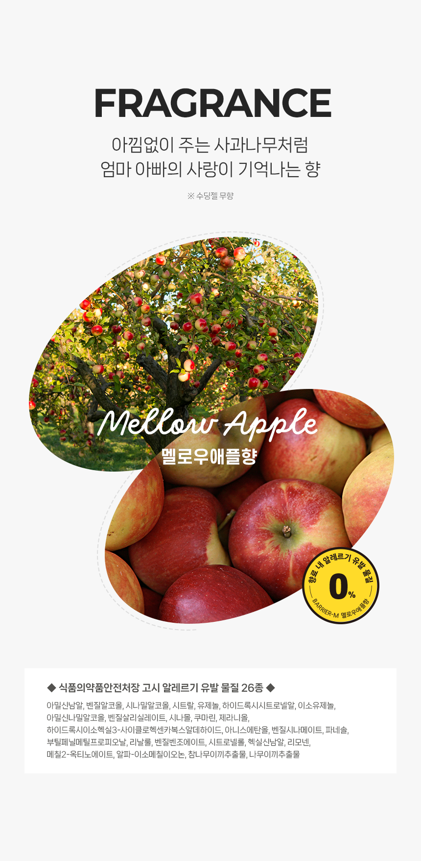 앙또 베리어엠 종합